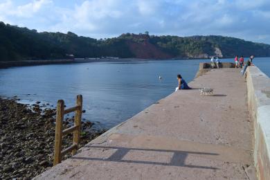 Sandee Babbacombe Beach Photo