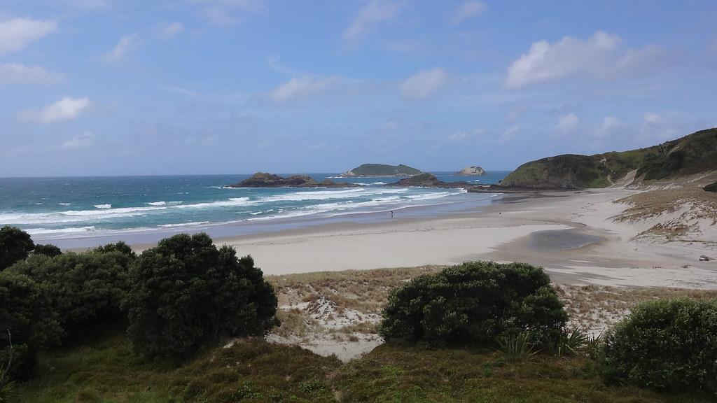 Sandee - Whangarei Heads