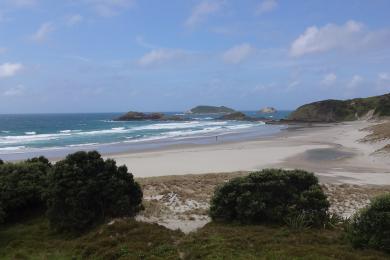 Sandee Whangarei Heads