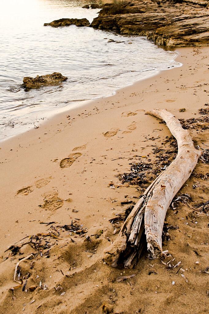 Sandee - Spiaggia Di Baratti