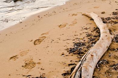 Sandee - Spiaggia Di Baratti