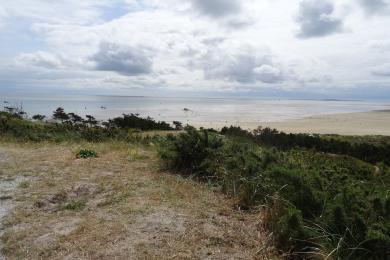 Sandee Terschelling Island Beach