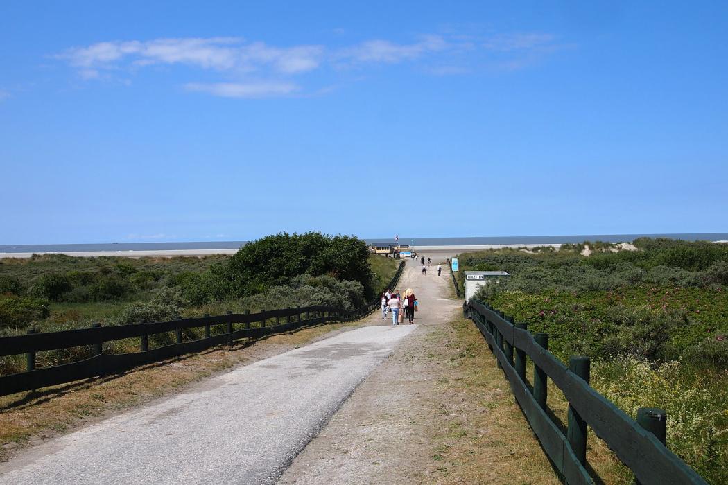 Sandee Schiermonnikoog Island Beach