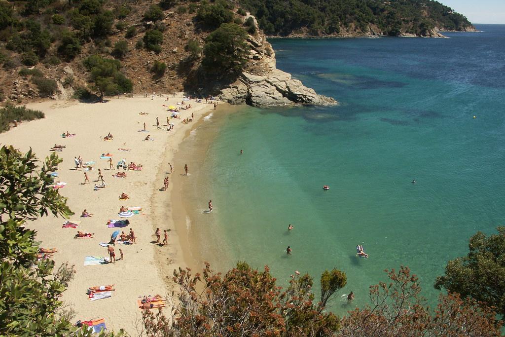 Sandee - HomePage / Latakia Governorate