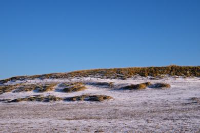 Sandee - Wassenaar Beach