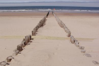 Sandee - Domburg Beach