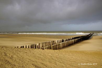 Sandee - Domburg Beach