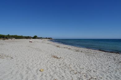 Sandee Spiaggia Di Bidderosa Photo