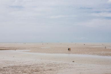 Sandee Morib Beach