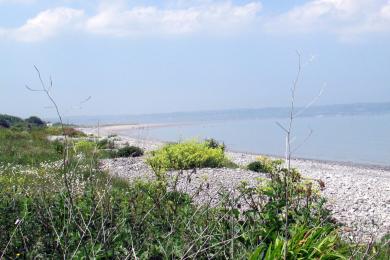 Sandee Tywyn Beach