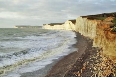 Sandee - Birling Gap Beach