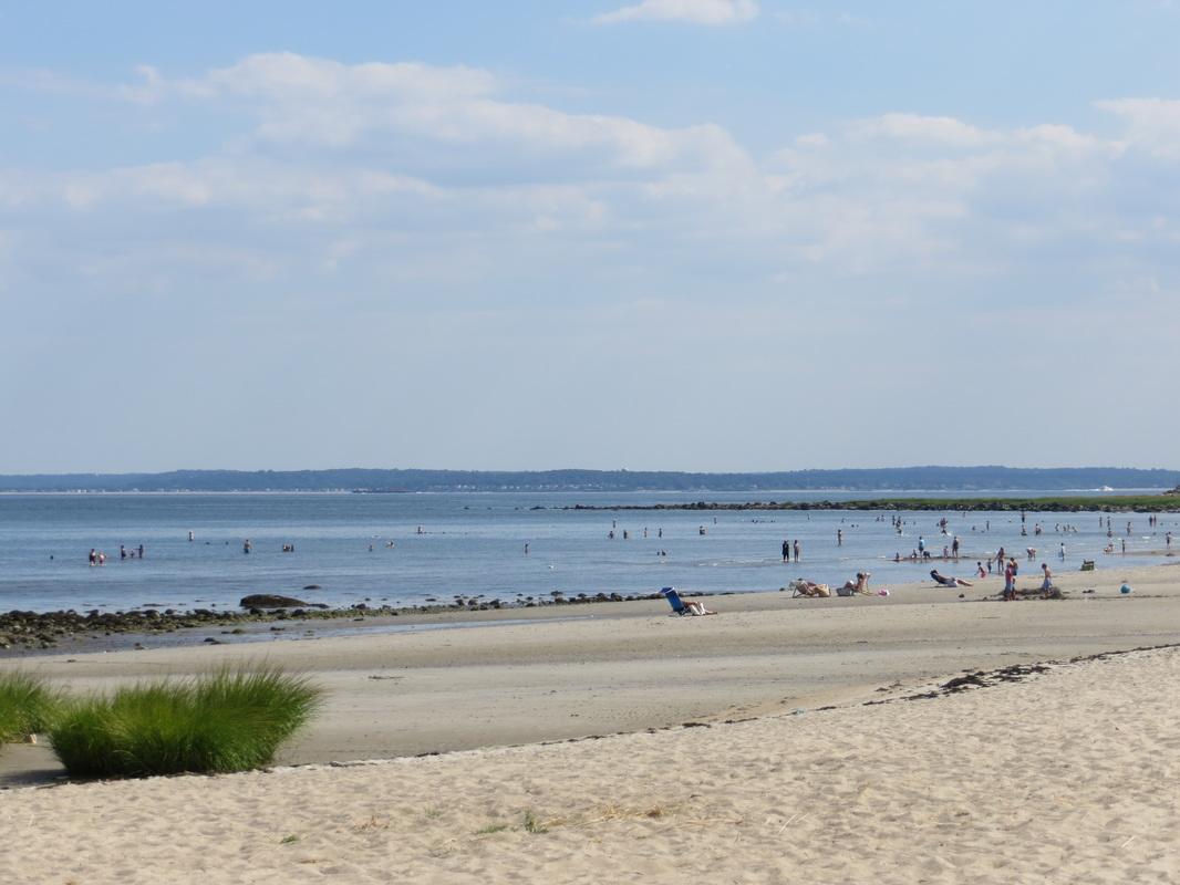 Sandee - Greenwich Point Beach