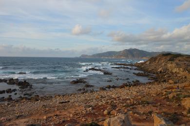 Sandee Cala Del Vino