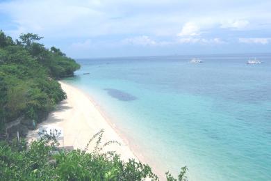 Sandee Alegre Beach