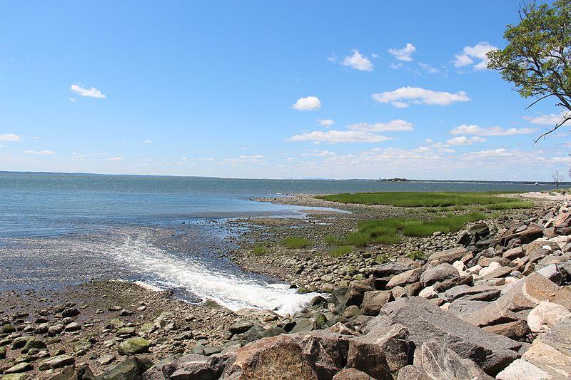 Sandee - Greenwich Point Beach