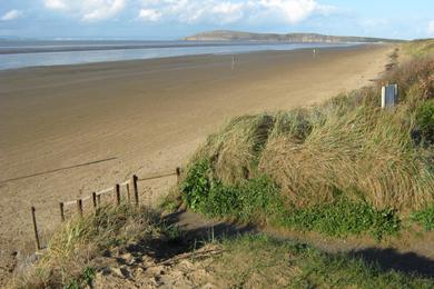 Sandee Berrow Beach Photo