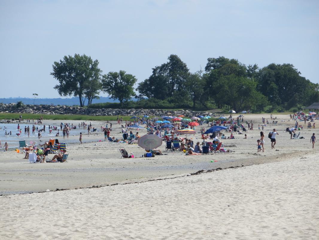 Sandee - Greenwich Point Beach