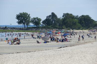 Sandee - Greenwich Point Beach