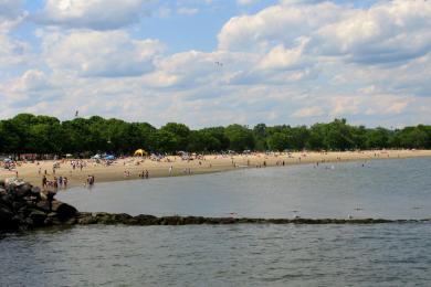 Sandee - Calf Pasture Beach