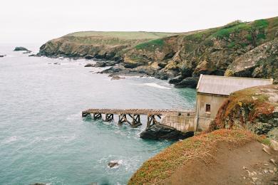 Sandee Lizard Church Cove Beach Photo