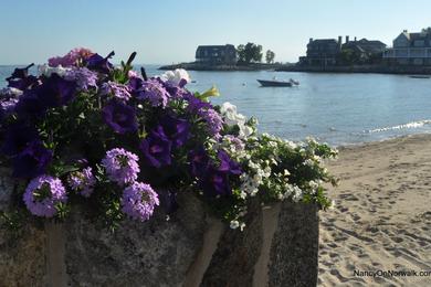 Sandee Rowayton Community Beach