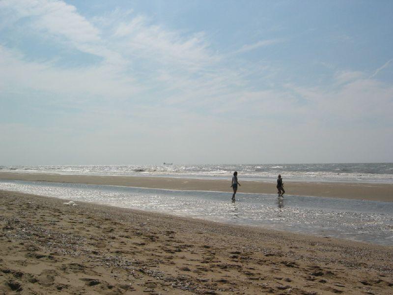 Sandee - HomePage / The Hague
