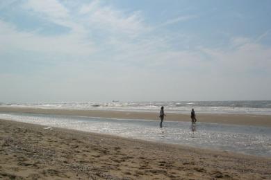 Sandee Meijendel Beaches