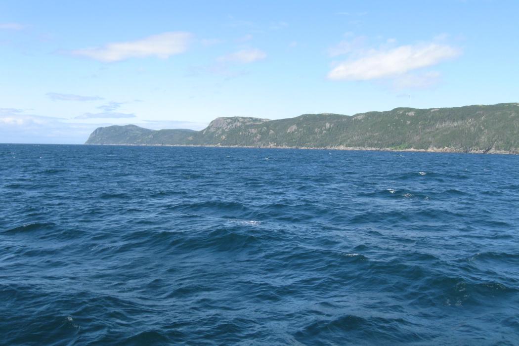 Sandee Macleod Island