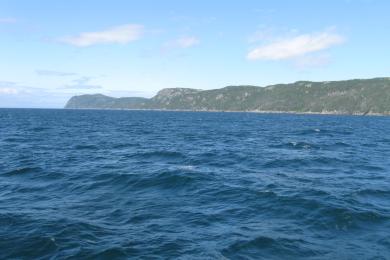 Sandee Macleod Island