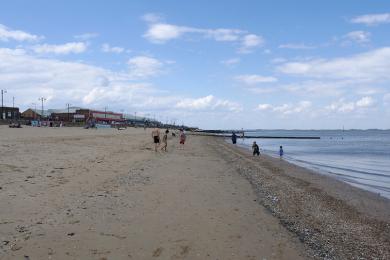 Sandee - Cleethorpes Beach