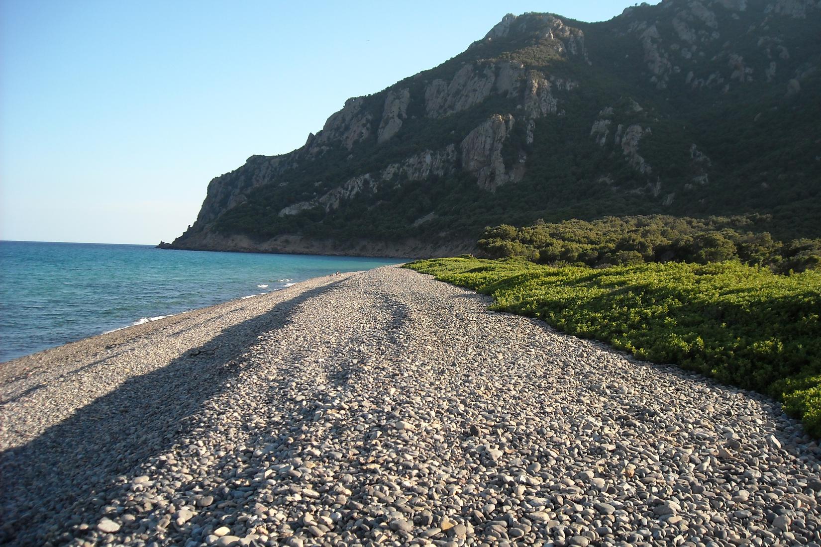 Sandee - Spiaggia Di Coccorocci