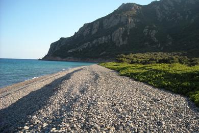 Sandee Spiaggia Di Coccorocci