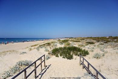 Sandee - Praia Da Alagoa