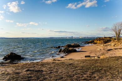 Sandee Lighthouse Point Beach Photo