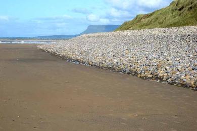 Sandee Strandhill