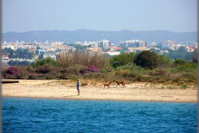 Sandee - Praia Da Ilha De Tavira