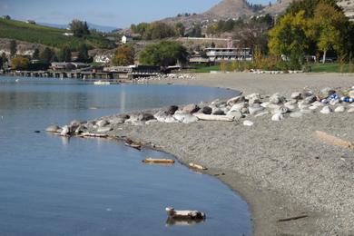 Sandee Morse Beach Photo