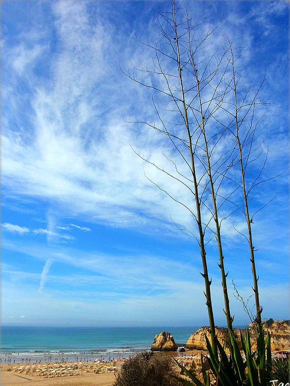 Sandee - Praia Da Rocha