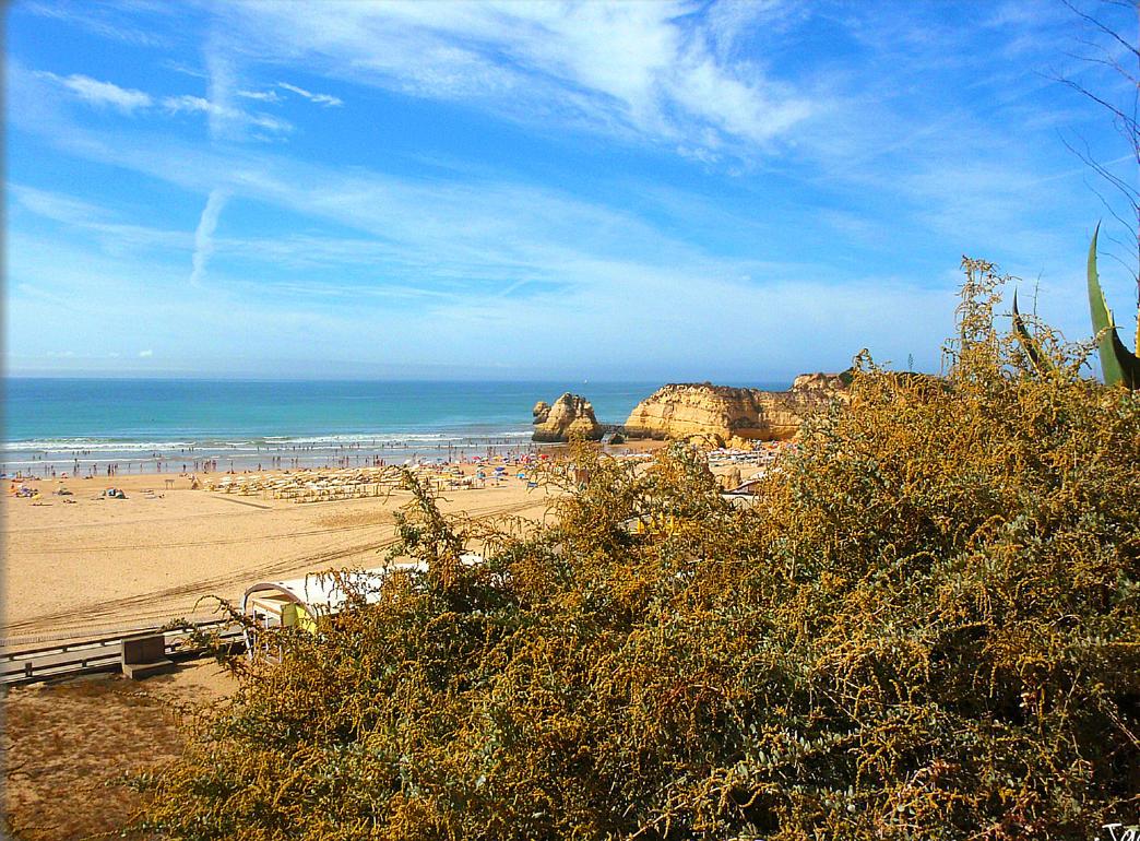 Sandee - Praia Da Rocha