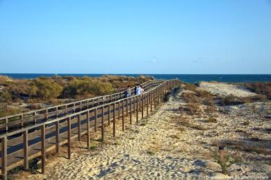 Sandee - Cabeco Beach