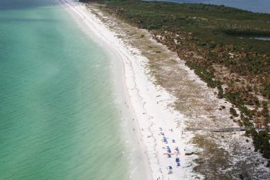 Sandee Caladesi Island State Park Beach Photo