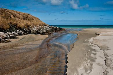 Sandee Tolsta Beach Photo