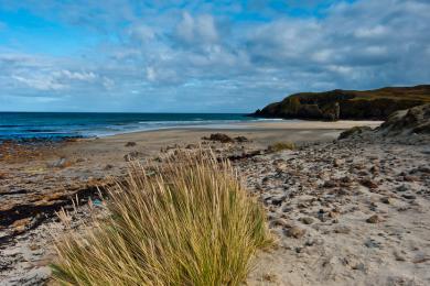 Sandee - Garry Beach