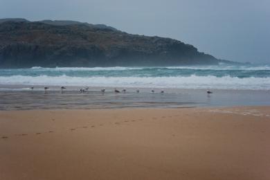 Sandee Dalmore Beach
