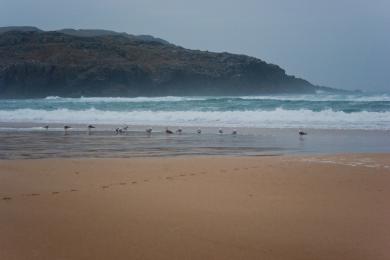 Sandee Dalmore Beach Photo