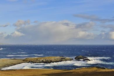 Sandee Grutness Beach Photo