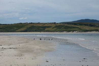 Sandee Coldbackie Beach