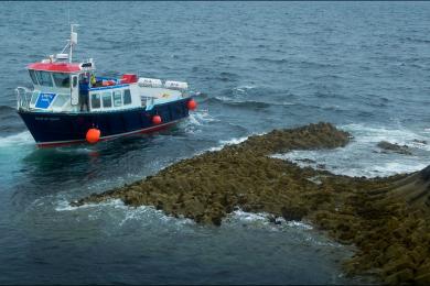 Sandee - Fionnphort Beach