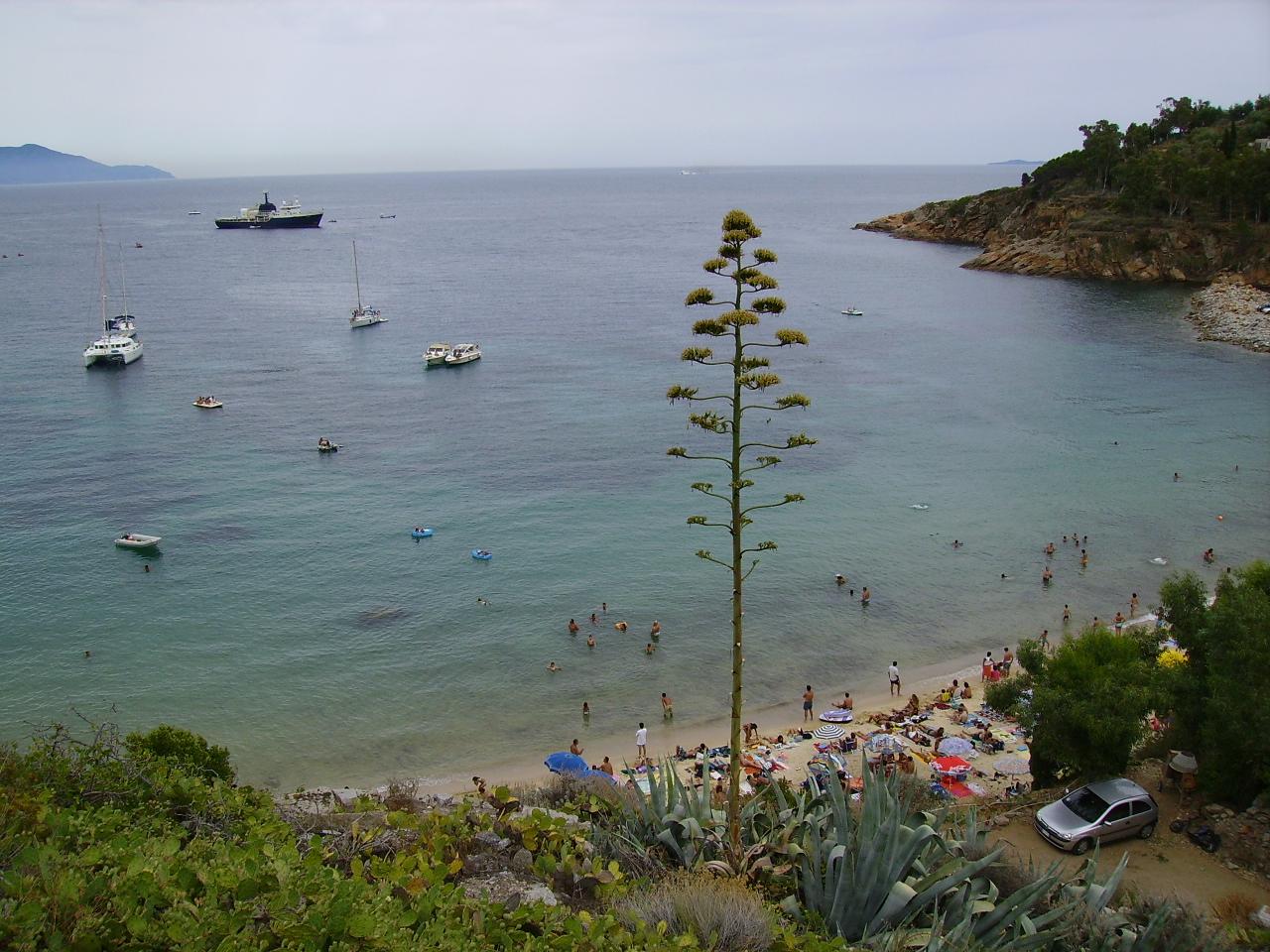 Sandee - Spiaggia Le Cannelle