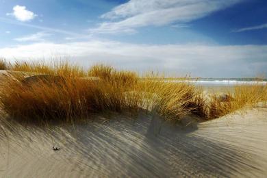 Sandee Kilnaughton Beach